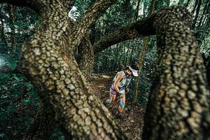 BIB: 
                            <button type="button" onclick="openModal(25392604)" class="btn btn-primary btn-sm float-right btn-popup" data-toggle="modal" data-target=".modal-high-quality">
                        <i class="fas fa-shopping-cart"></i> Add to Cart
                    </button>
                                            <button type="button" onclick="isThisMe(25392604, true)" class="btn btn-success btn-sm float-right btn-popup btn-isme hidden" data-toggle="tooltip" data-placement="bottom" title="นี่คือรูปของคุณใช่ไหม คลิกที่นี่เพื่อเอาเข้าอัลบั้ม">
                        <i class="fas fa-plus"></i> Add to album
                    </button>
                    <button type="button" onclick="isThisMe(25392604, false)" class="btn btn-warning btn-sm float-right btn-popup btn-isnotme hidden">
                        <i class="fas fa-ban"></i> Remove from album
                    </button>